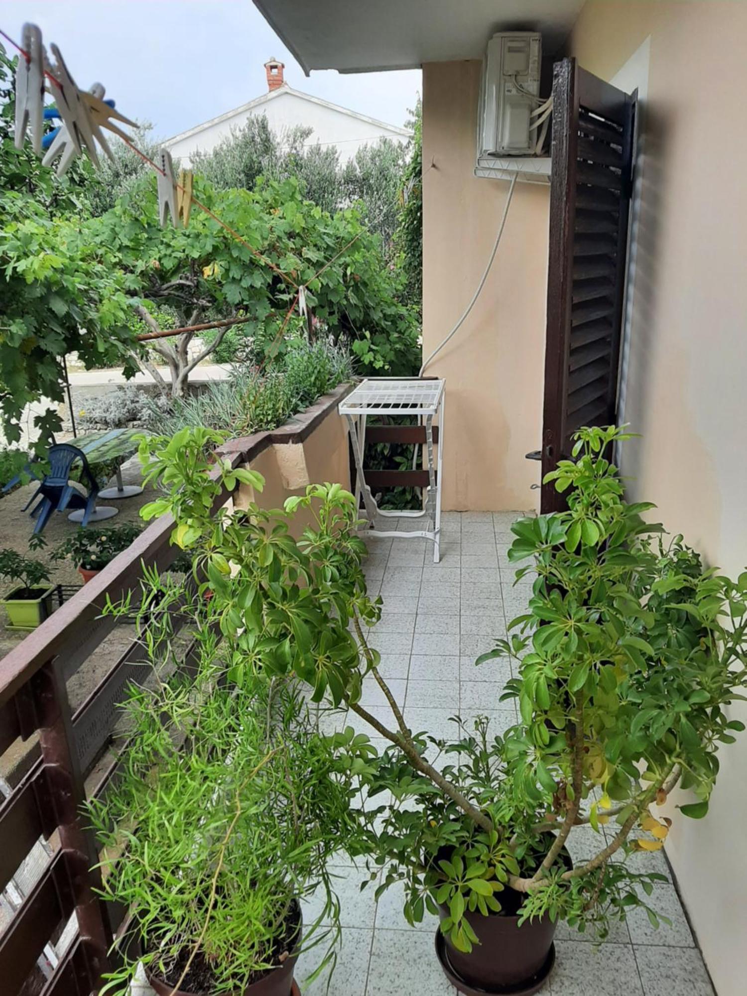 Apartmani Marija Povljana Δωμάτιο φωτογραφία