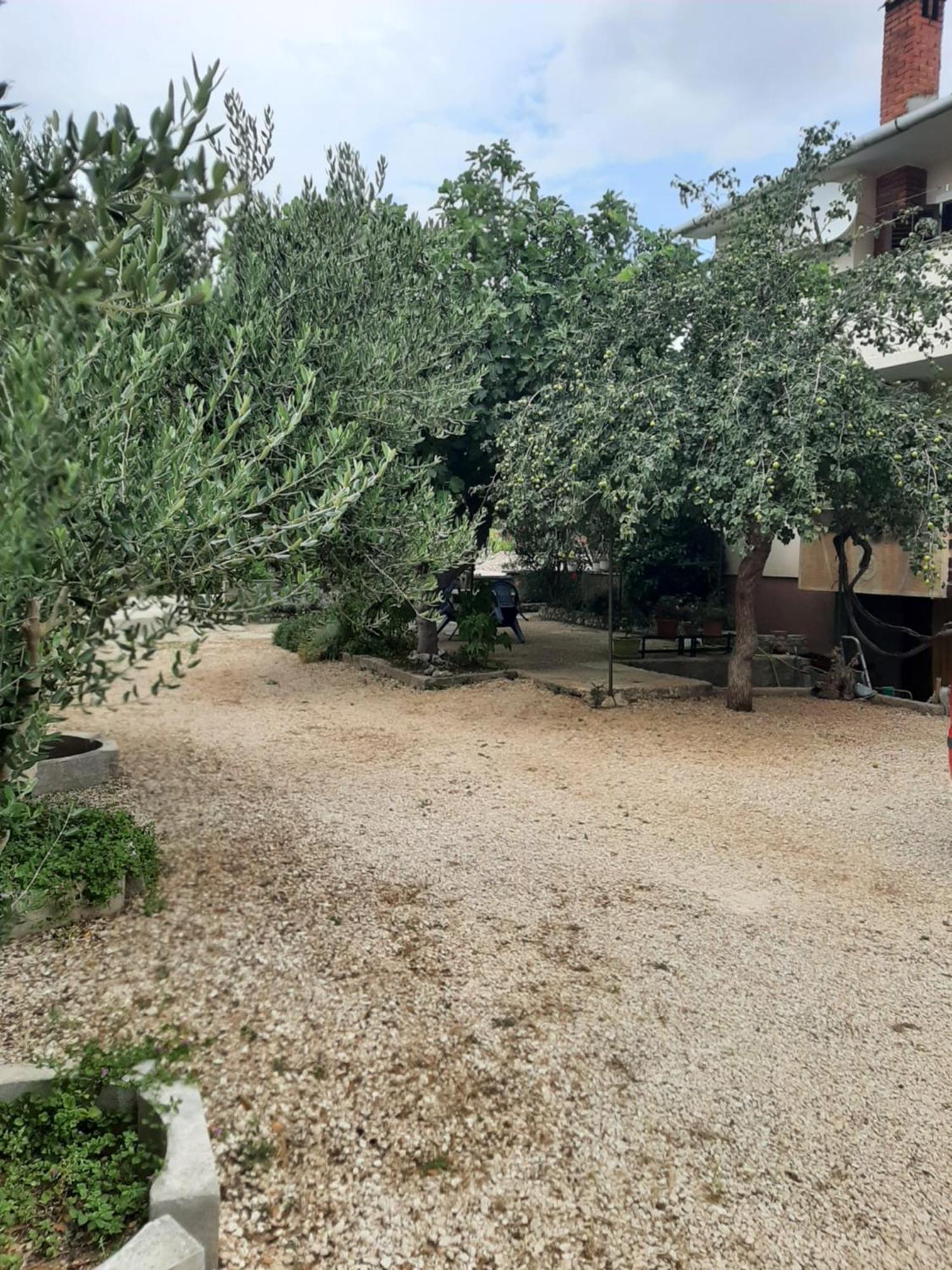 Apartmani Marija Povljana Δωμάτιο φωτογραφία