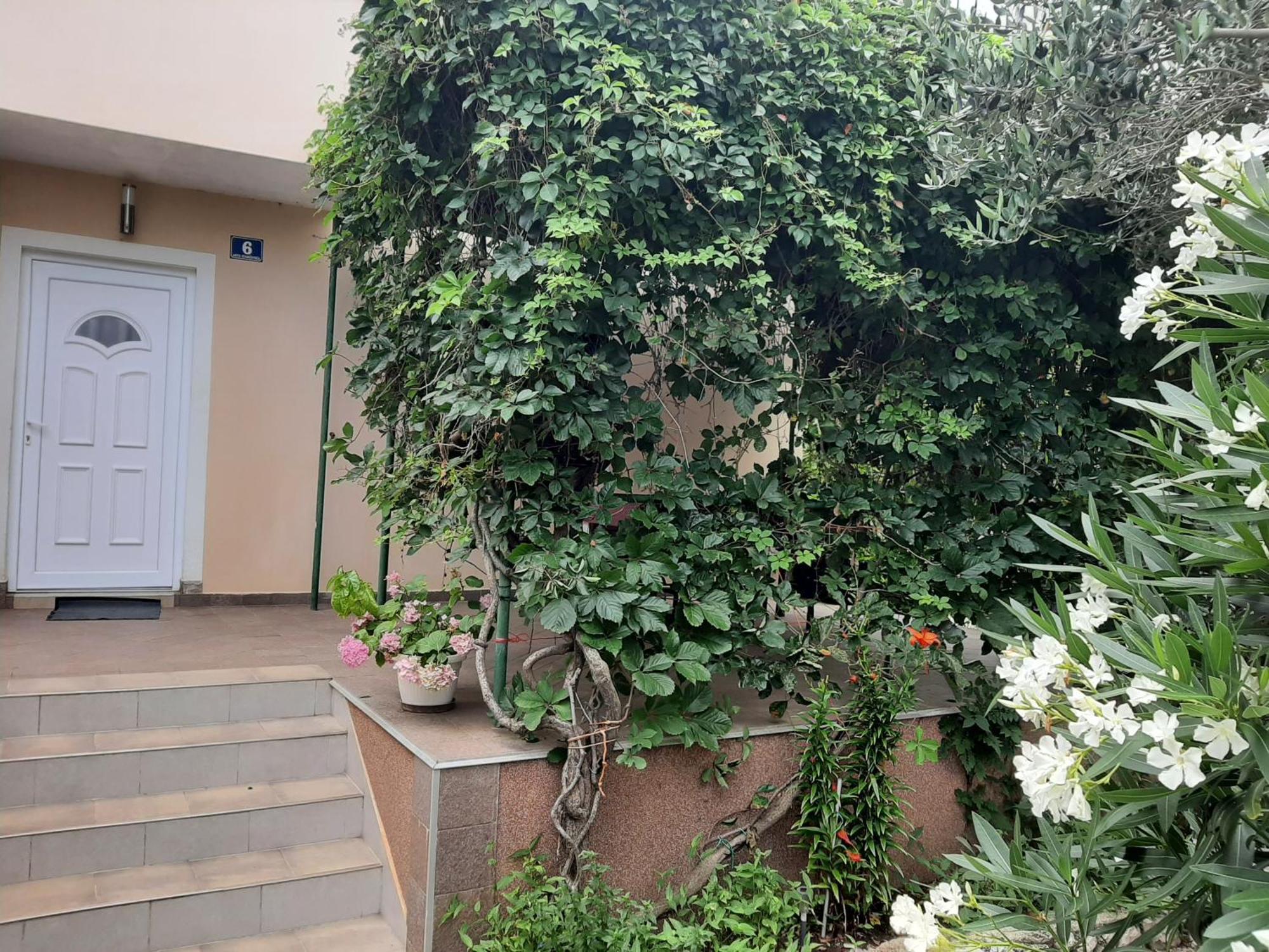 Apartmani Marija Povljana Δωμάτιο φωτογραφία