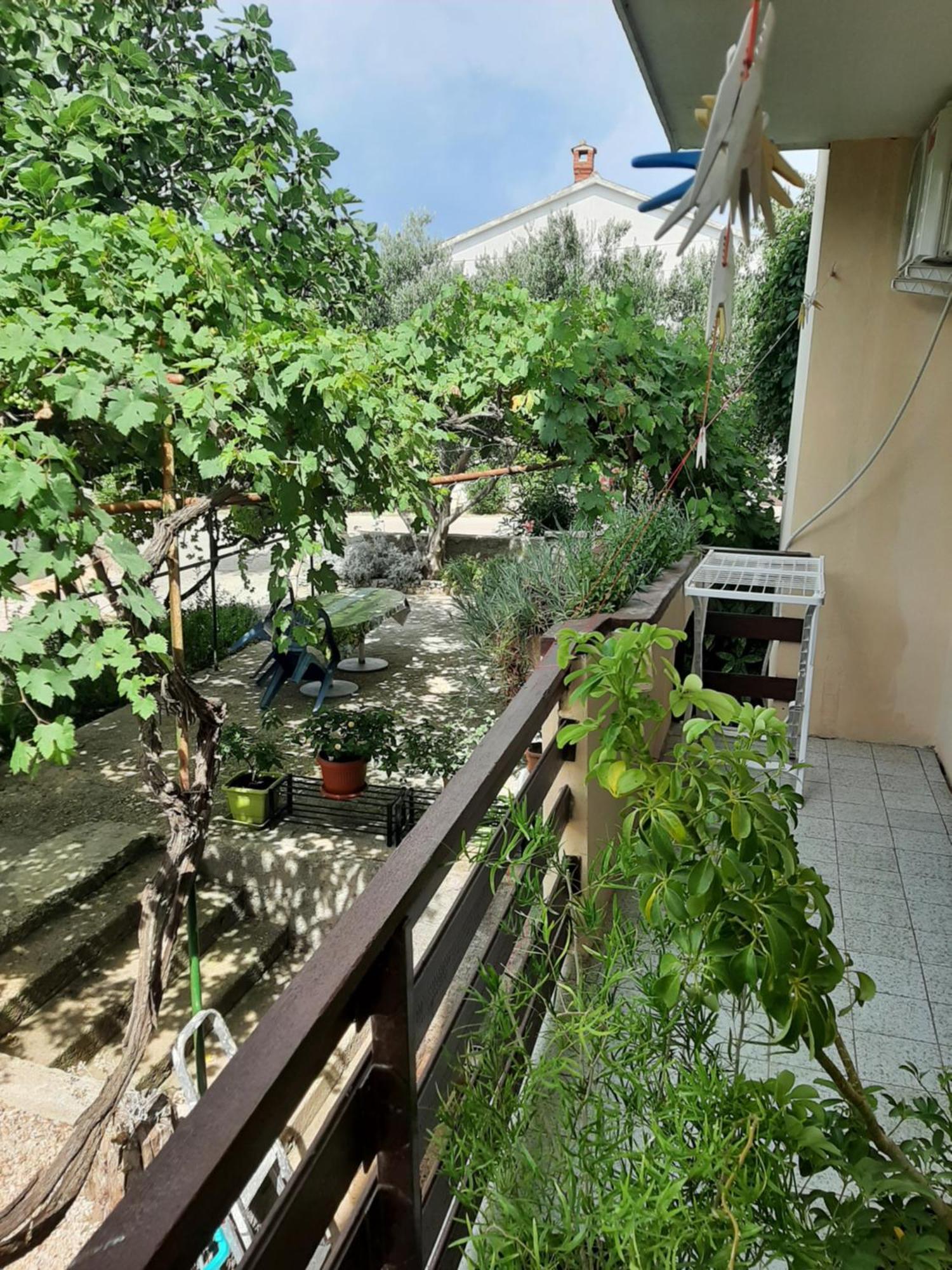 Apartmani Marija Povljana Δωμάτιο φωτογραφία