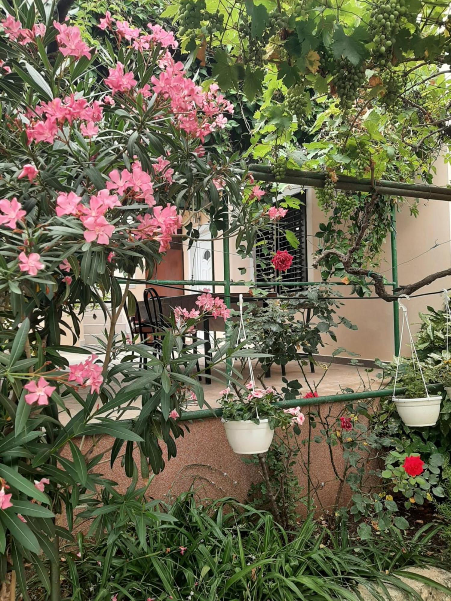 Apartmani Marija Povljana Δωμάτιο φωτογραφία