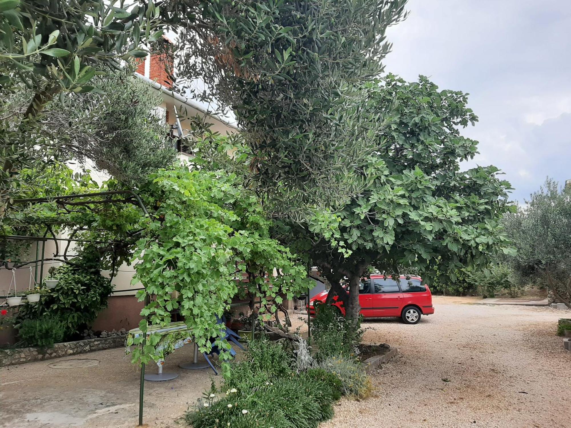 Apartmani Marija Povljana Δωμάτιο φωτογραφία