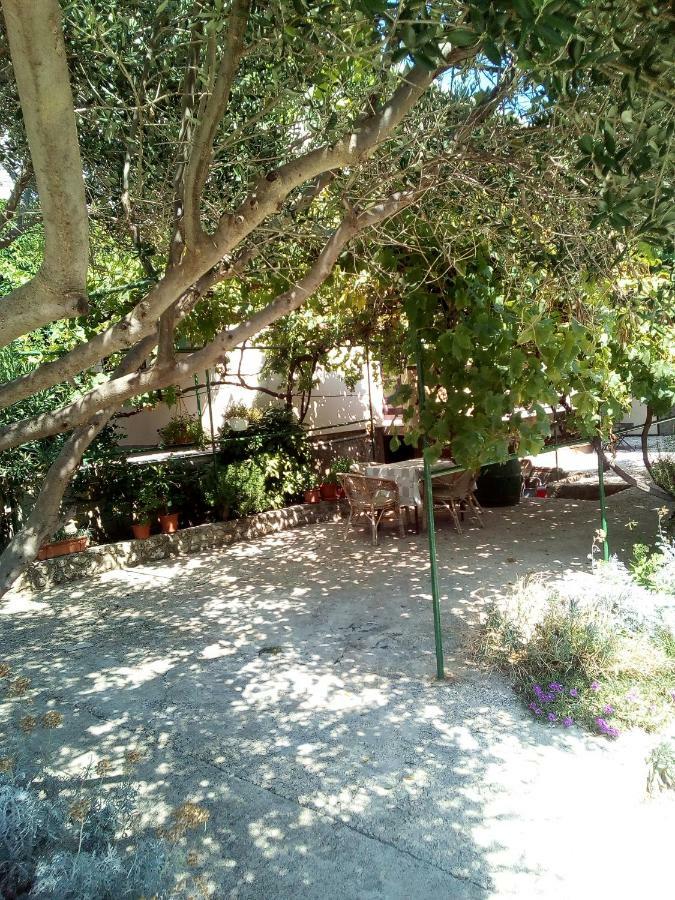 Apartmani Marija Povljana Εξωτερικό φωτογραφία
