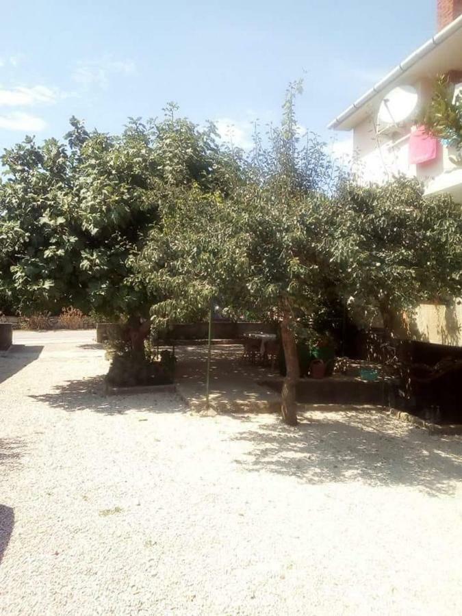 Apartmani Marija Povljana Εξωτερικό φωτογραφία