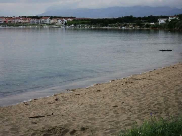 Apartmani Marija Povljana Εξωτερικό φωτογραφία