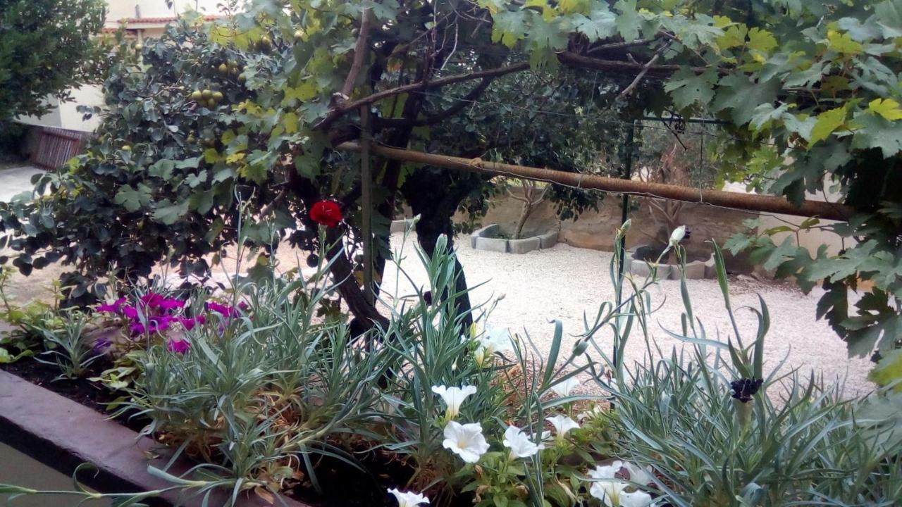 Apartmani Marija Povljana Εξωτερικό φωτογραφία